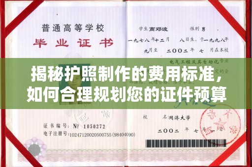 民乐揭秘护照制作的费用标准，如何合理规划您的证件预算