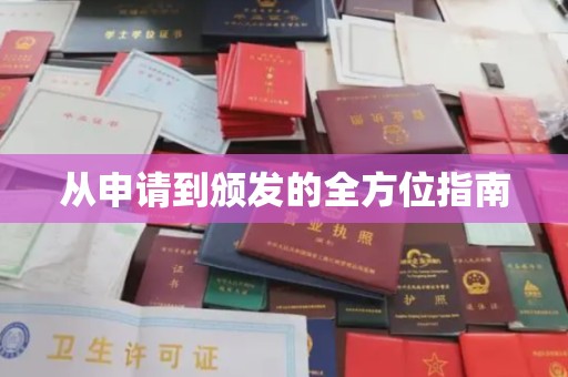 民乐从申请到颁发的全方位指南