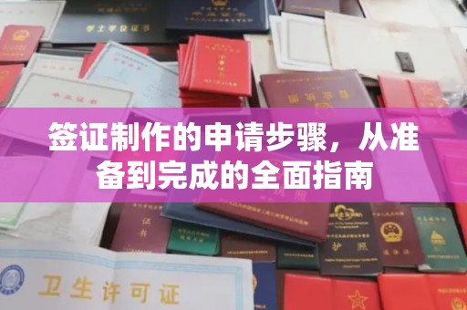 民乐签证制作的申请步骤，从准备到完成的全面指南