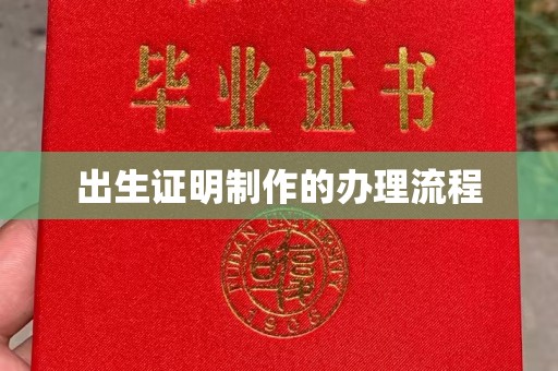 民乐出生证明制作的办理流程