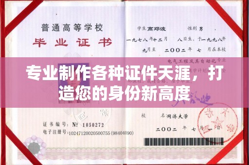 民乐专业制作各种证件天涯，打造您的身份新高度