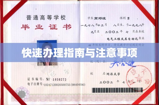 民乐快速办理指南与注意事项