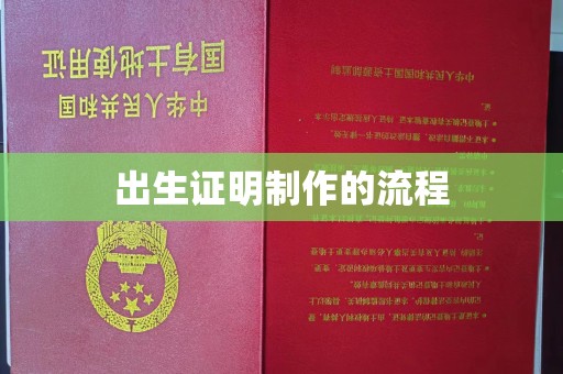 民乐出生证明制作的流程